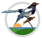 LEZAR E SCRIVAR - leggere e scrivere in dialetto